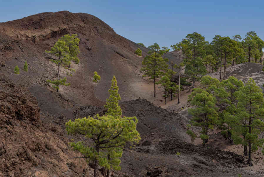 Tenerife 37 - parque nacional del Teide.jpg